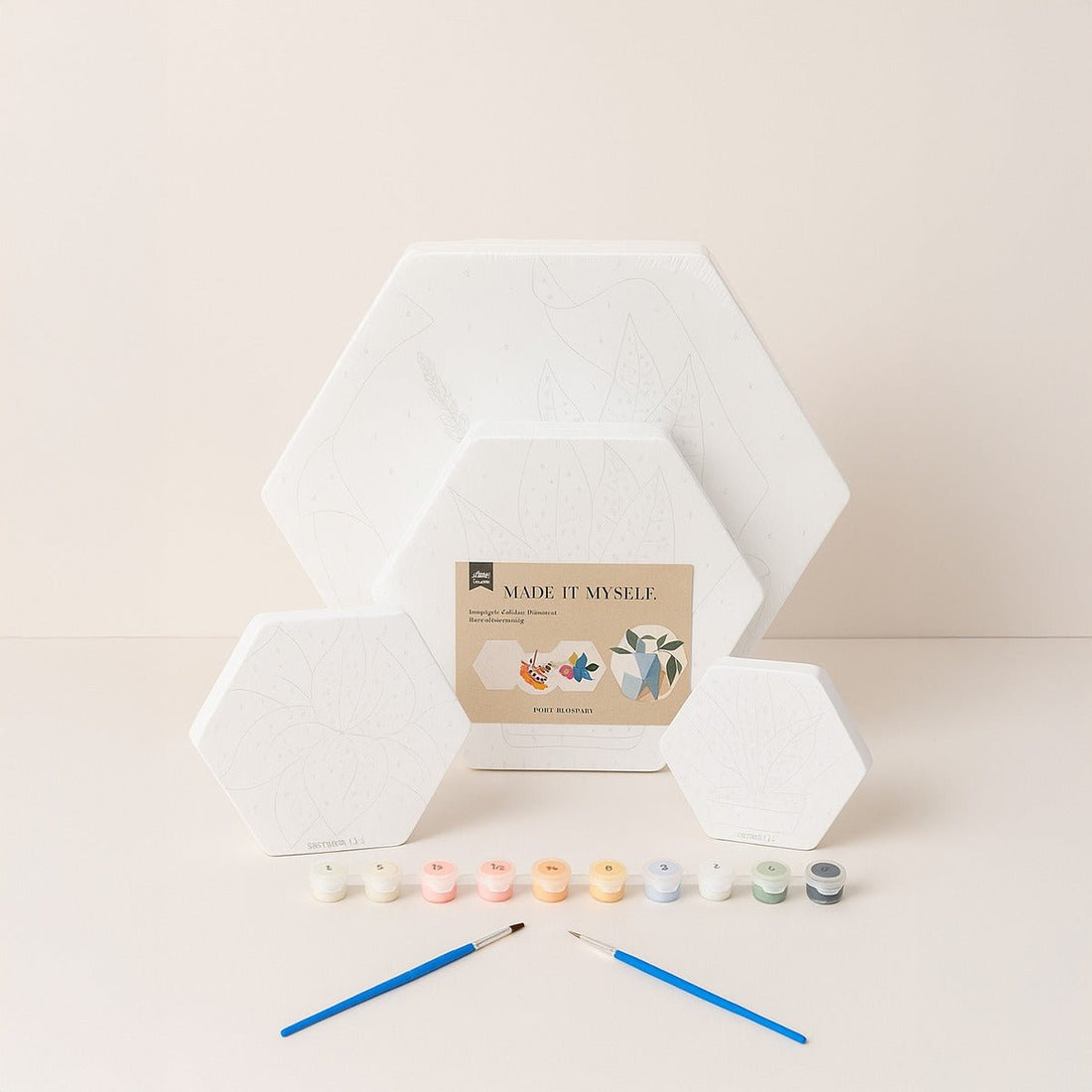Hexagon paint-by-numbers kit with hexagonal template, paint pots, and two blue brushes