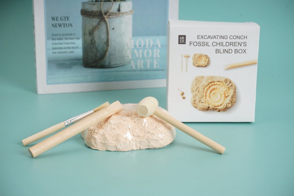 Kids' Fossil Dig Kit - Blind Box - MIDI