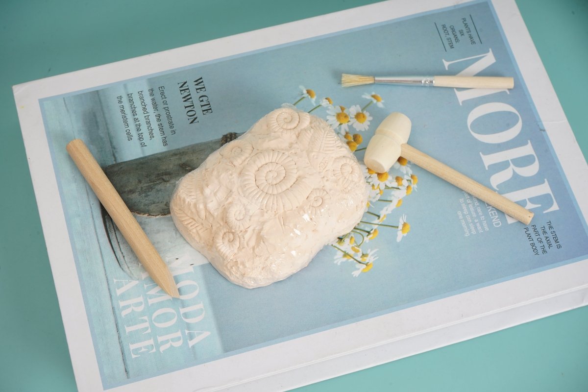 Kids' Fossil Dig Kit - Blind Box - MIDI