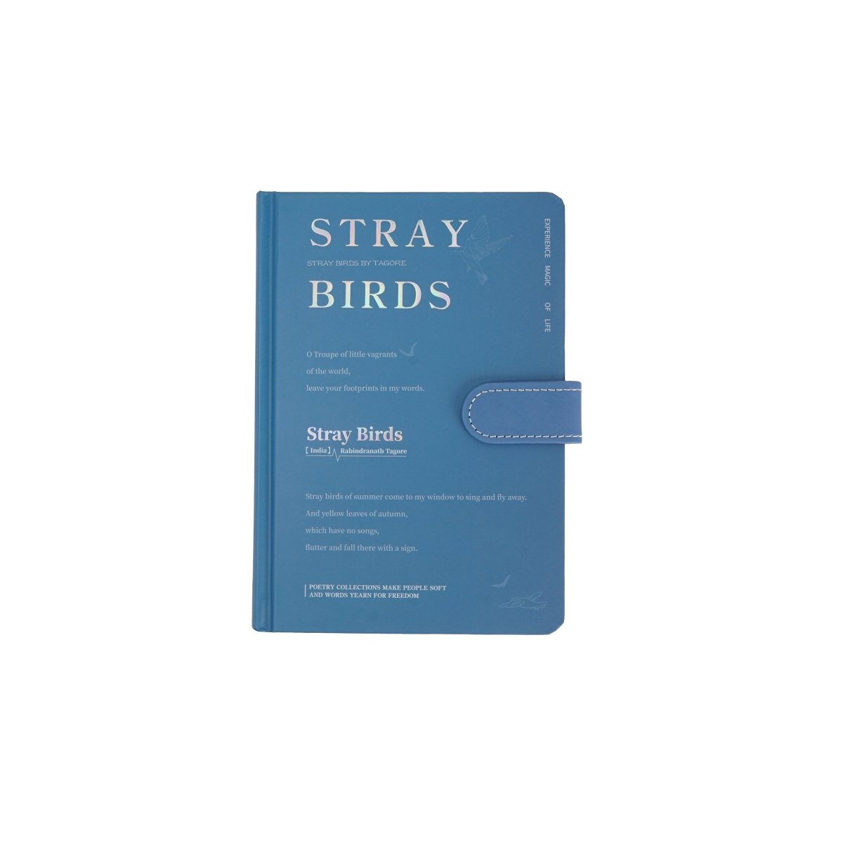 Blue pastel notebook with magnetic buckle strap; cover text reads STRAY BIRDS
