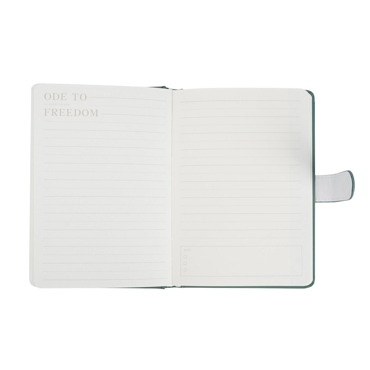 Open pastel notebook pages with lined writing area and gray magnetic strap, green cover