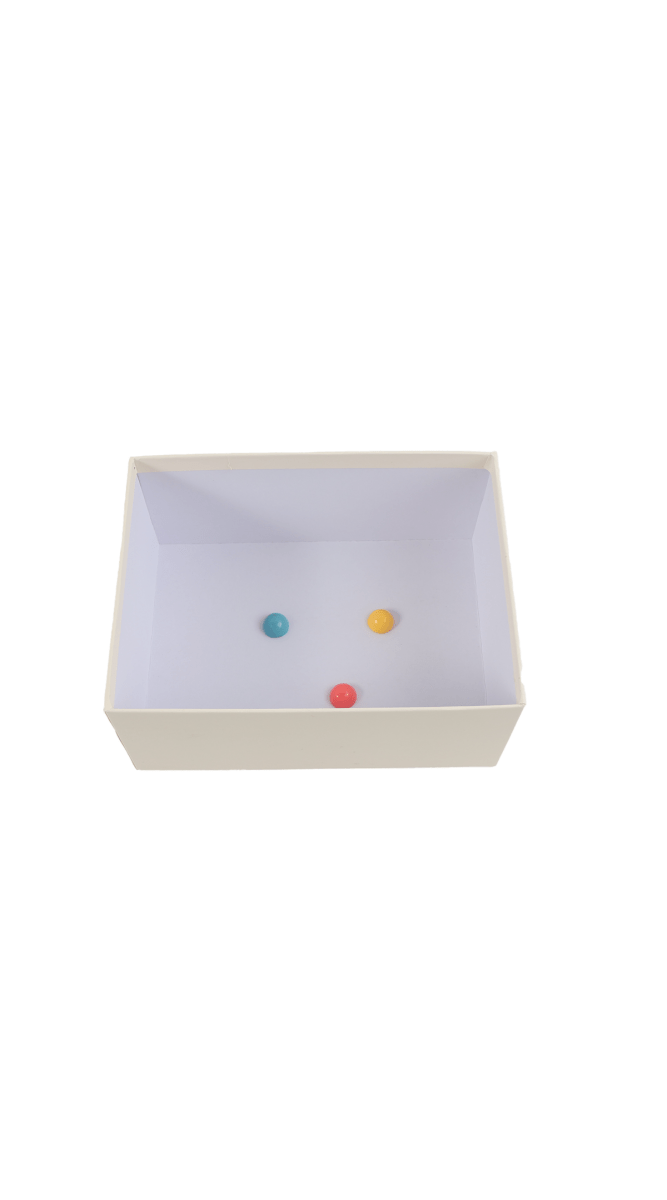 Stylish Gift Box with Unique Design - MIDI