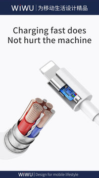 USB-C to Lightning charging cable with connector internals detail